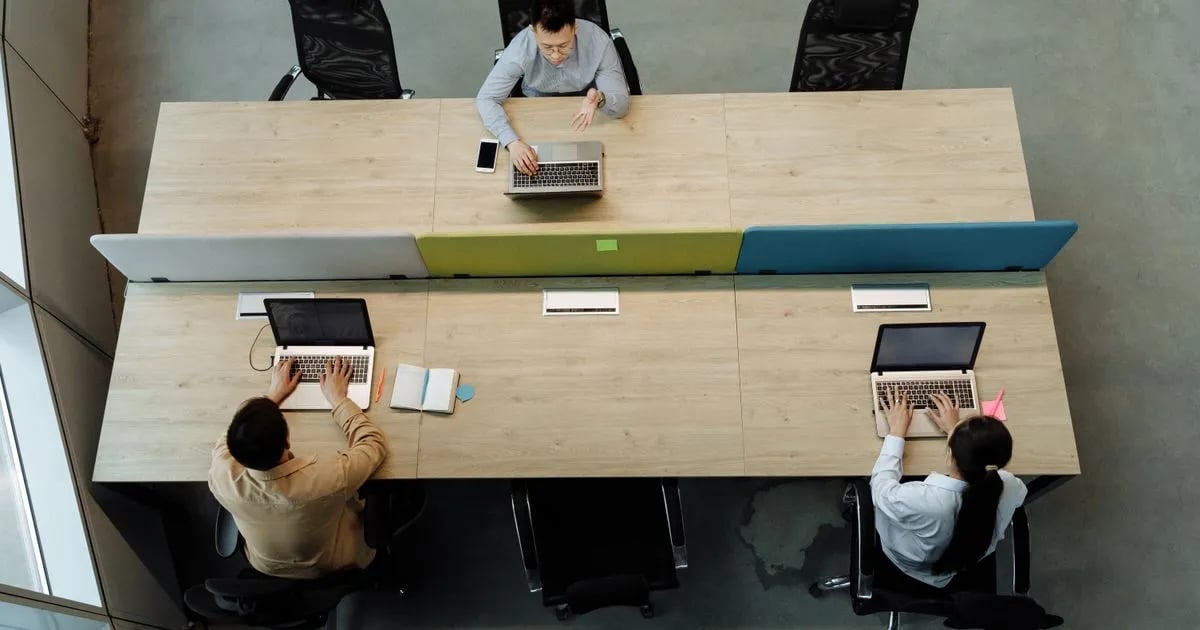 Colleagues working on laptops at a shared desk