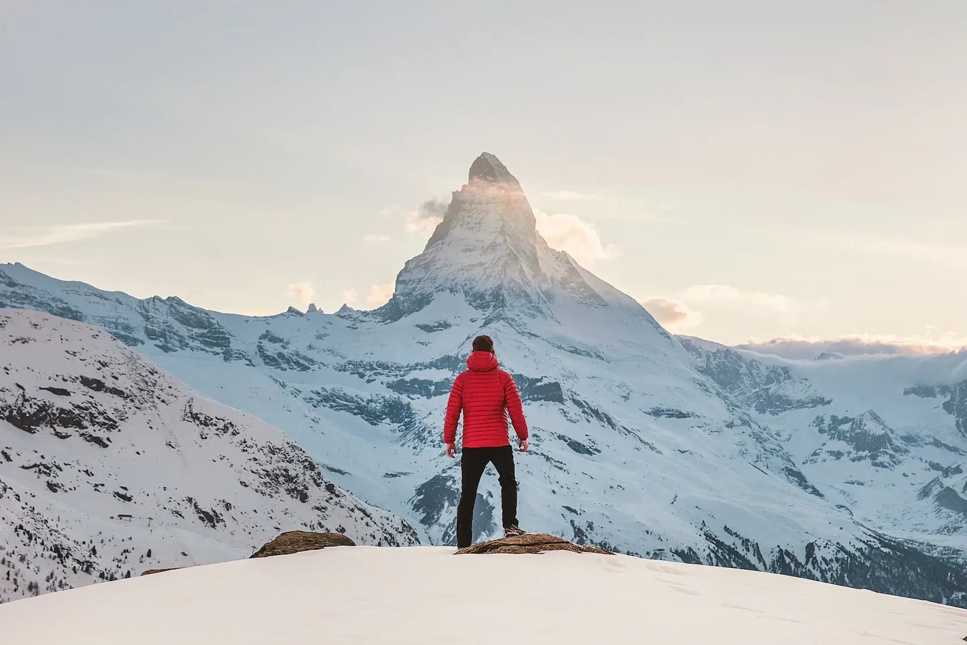 Succeeding in Your Career Transition to Digital with Wage Portage